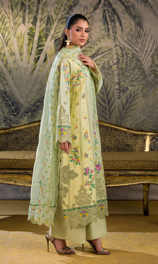 Bahar Nagar Embroidered 3 Piece Suit