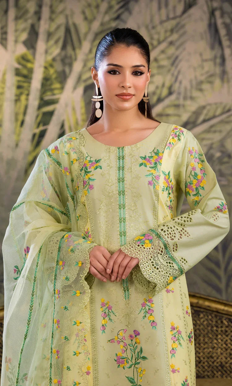 Bahar Nagar Embroidered 3 Piece Suit