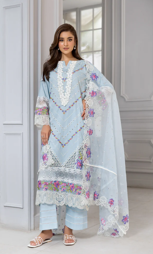Shafaq Soft Beauty in Blue