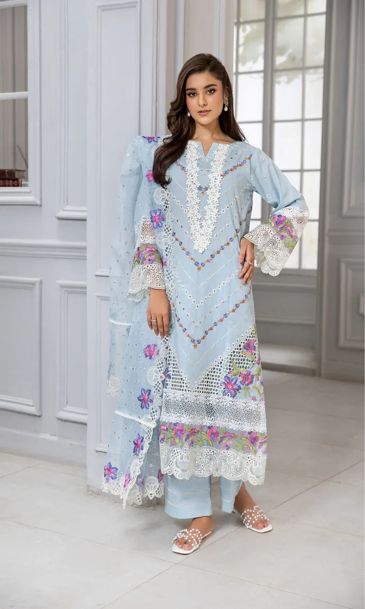 Shafaq Soft Beauty in Blue